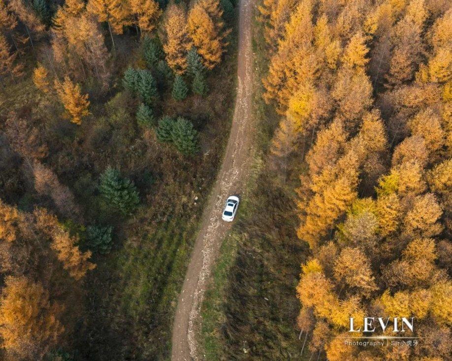 美邦“二代”辞职，创始人周成建59岁重出江湖！