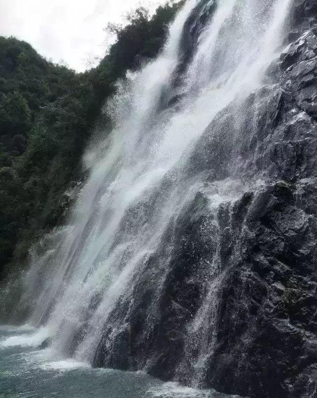 西瓜地逃生
